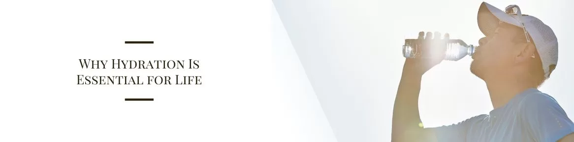 Why Hydration Is Essential for Life